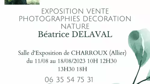 Exposition Béatrice DELAVAL